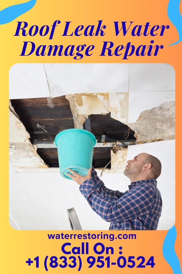 Roof Leak Water Damage Repair in Parker, ID